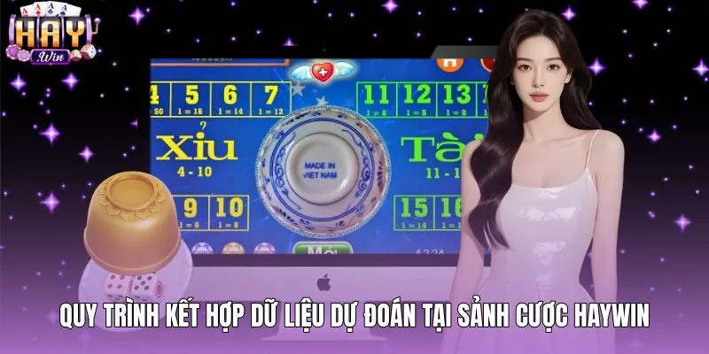 Quy trình sử dụng app dự đoán tài xỉu tại sảnh HAYWIN